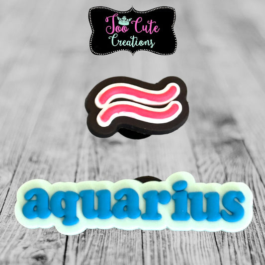 2 pc Aquarius Sign/Symbol Croc Charms | Astrology Lit Croc Charms| Bracelet Charms |Accessories